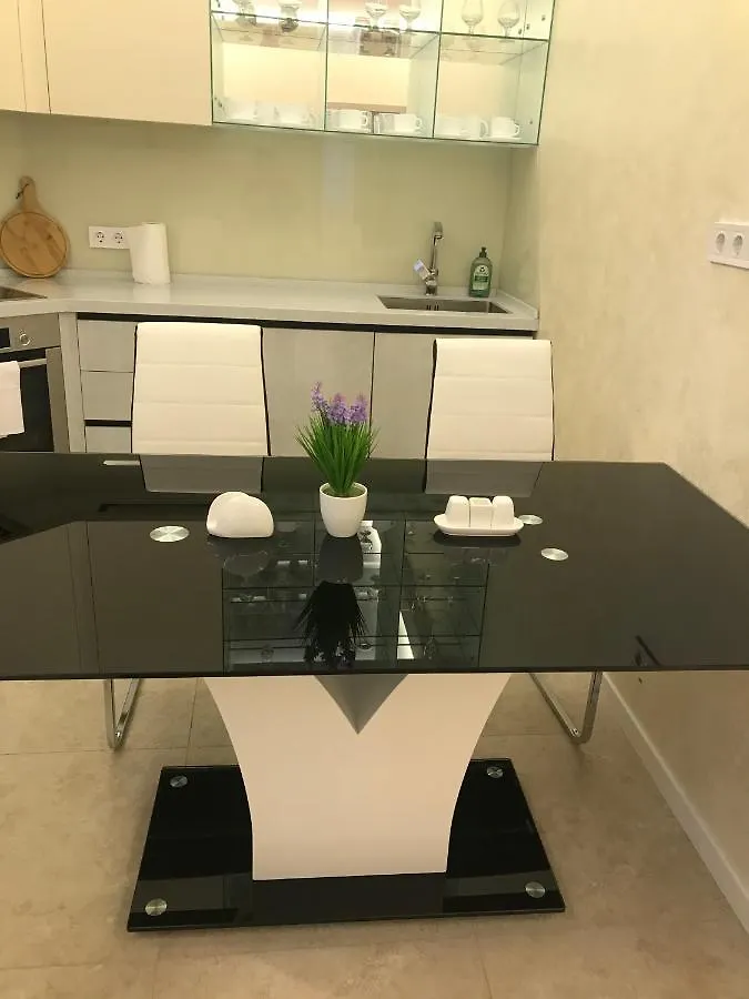 Apart Plaza 24 Kyiv Apartment